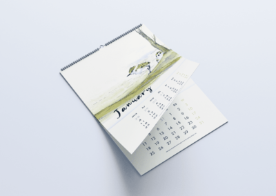 Calendario para la protección del Chorlitejo patinegro
