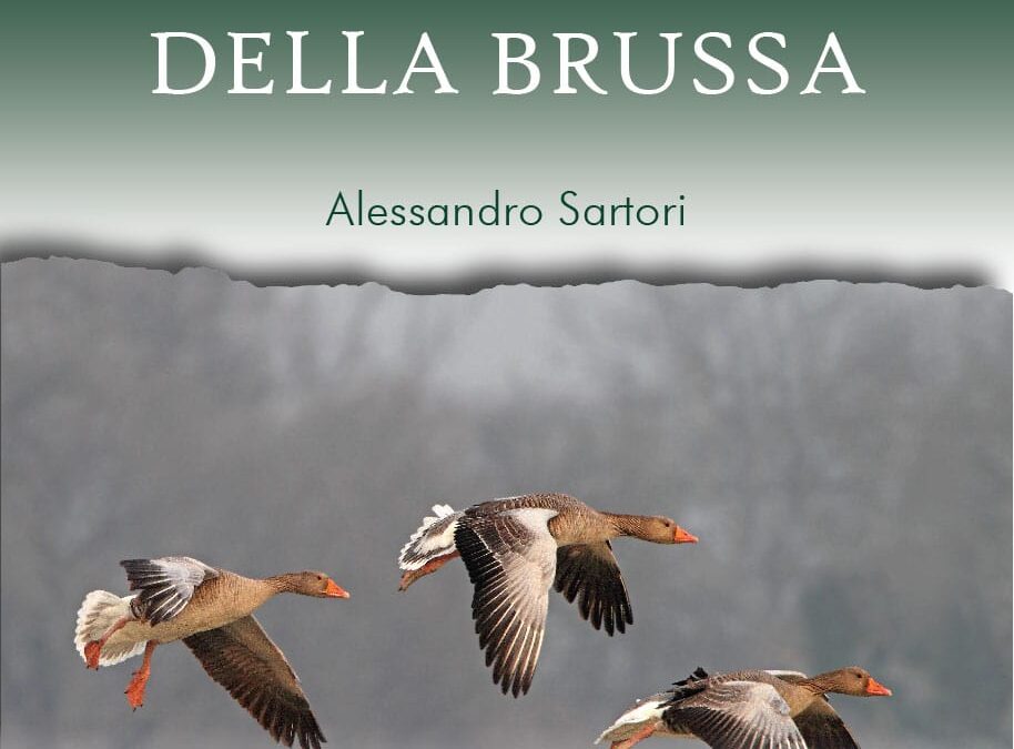 Festival delle oche (patos)